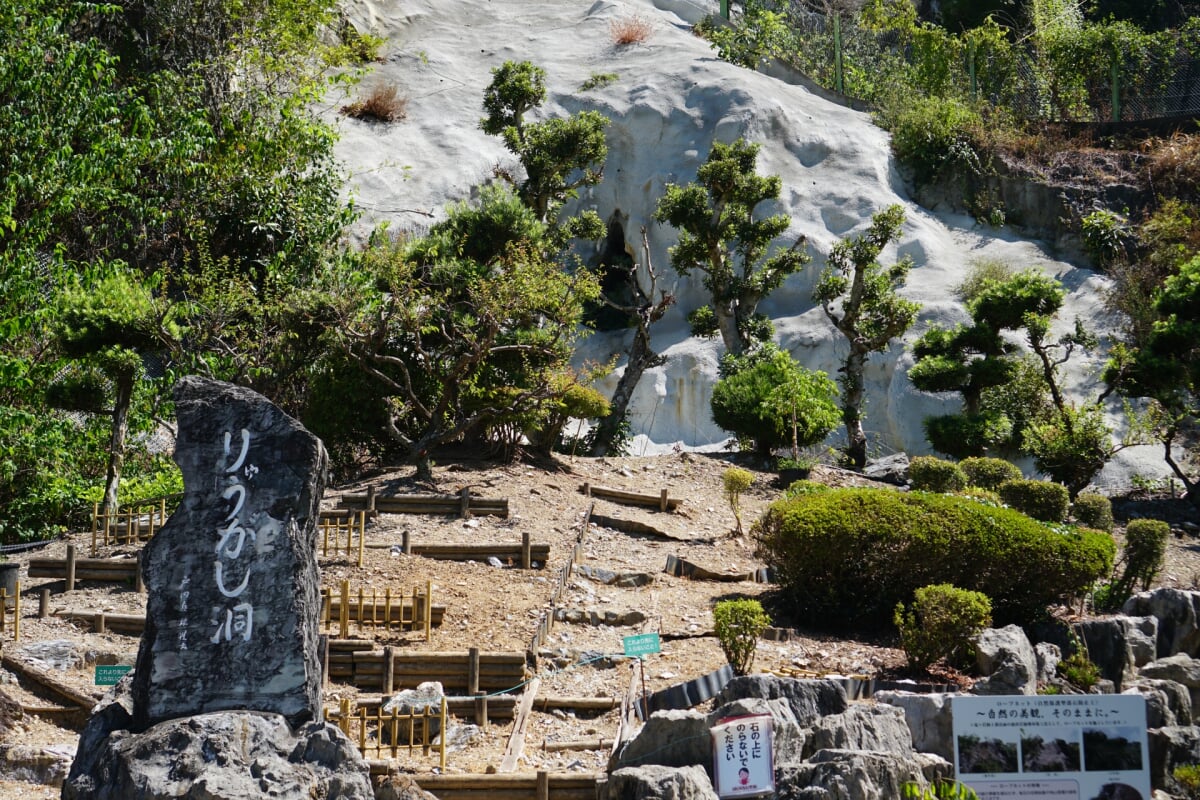 竜ヶ岩洞の写真6