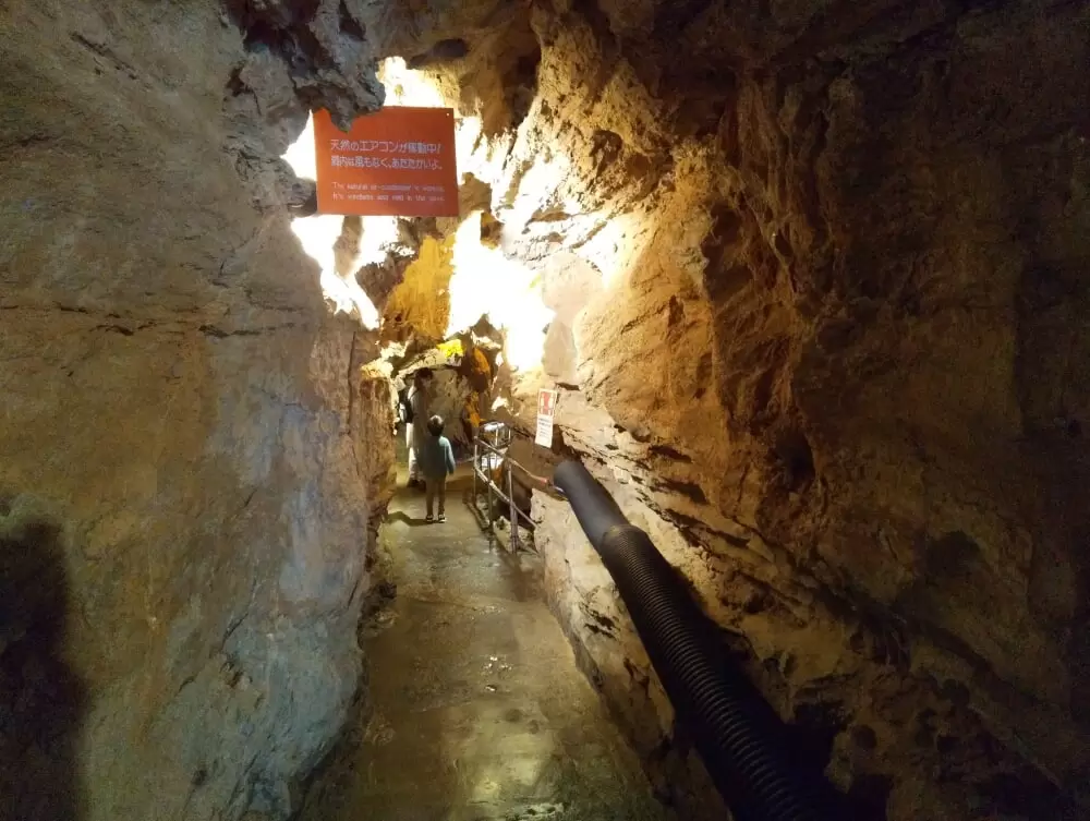 竜ヶ岩洞の写真1