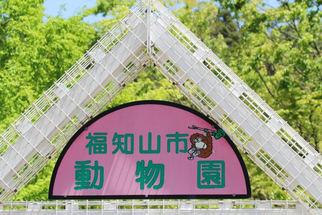 福知山市動物園の写真4