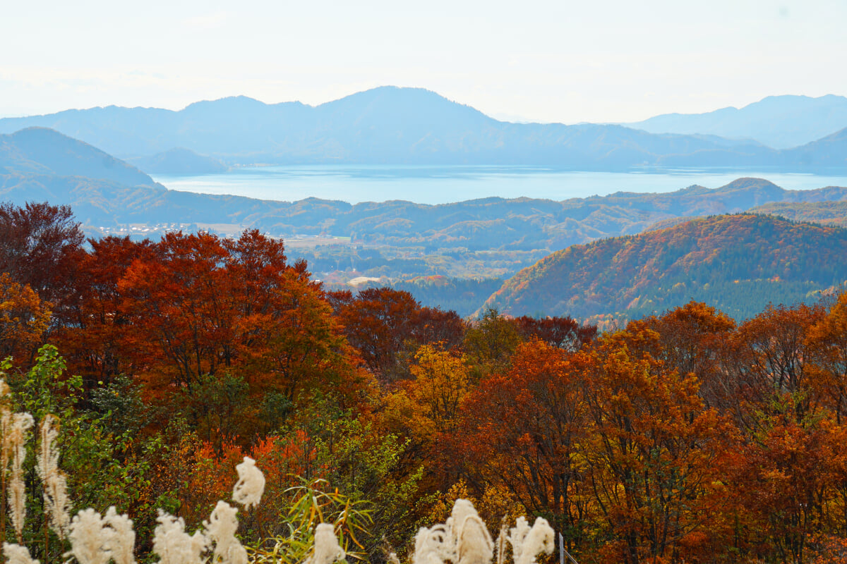 アルパこまくさの写真3