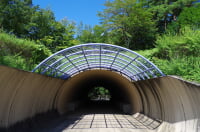 かざこし子どもの森公園