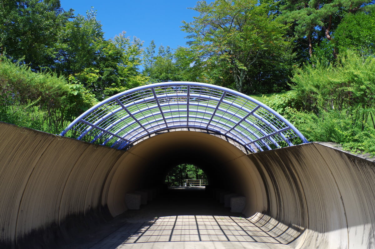 かざこし子どもの森公園の写真1