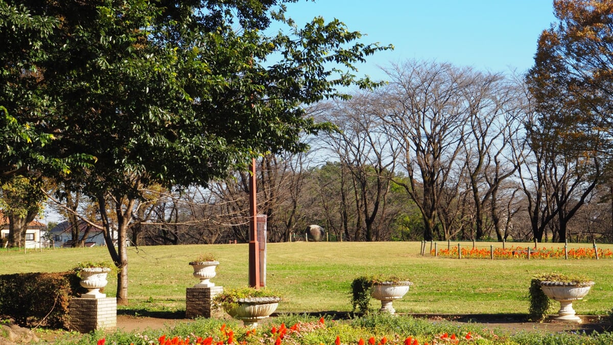 狭山市都市緑化植物園の写真6