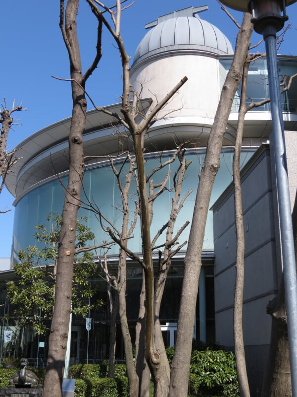 相模原市立博物館の写真2