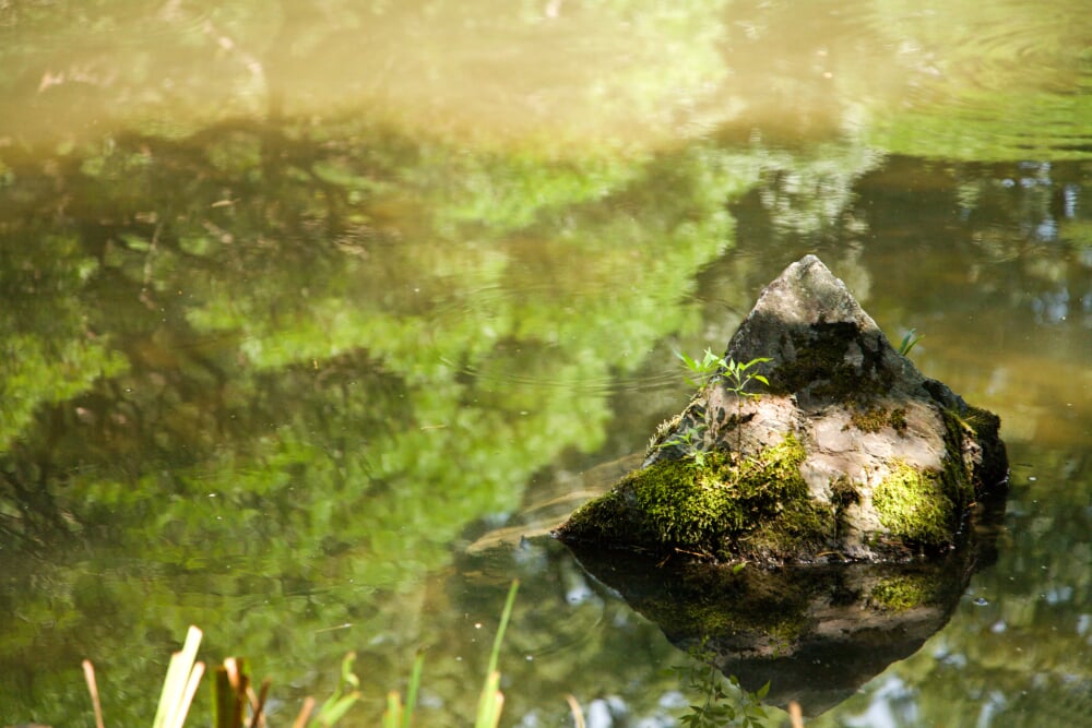平安神宮の写真5