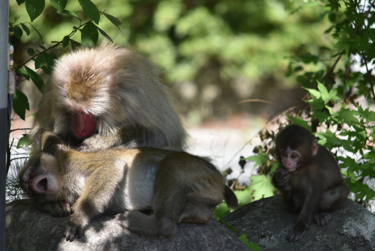 大町エネルギー博物館の写真11