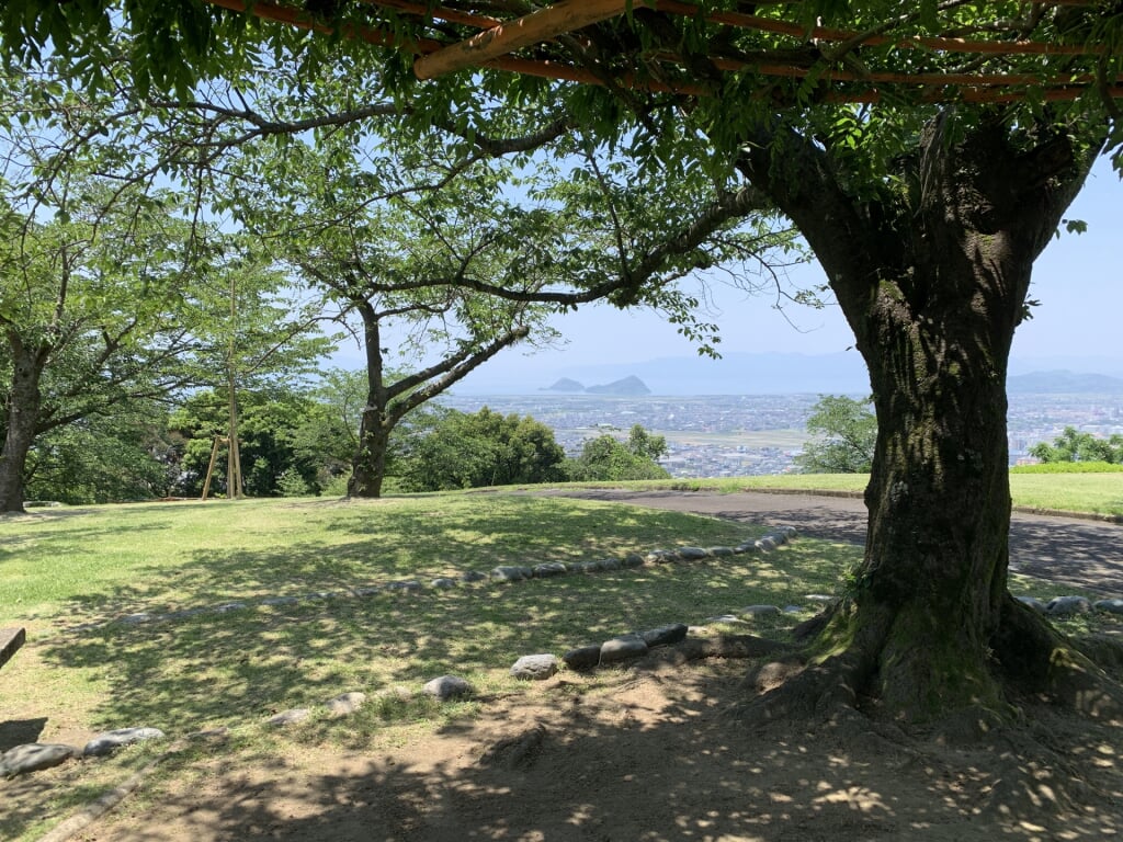 城山公園の写真3