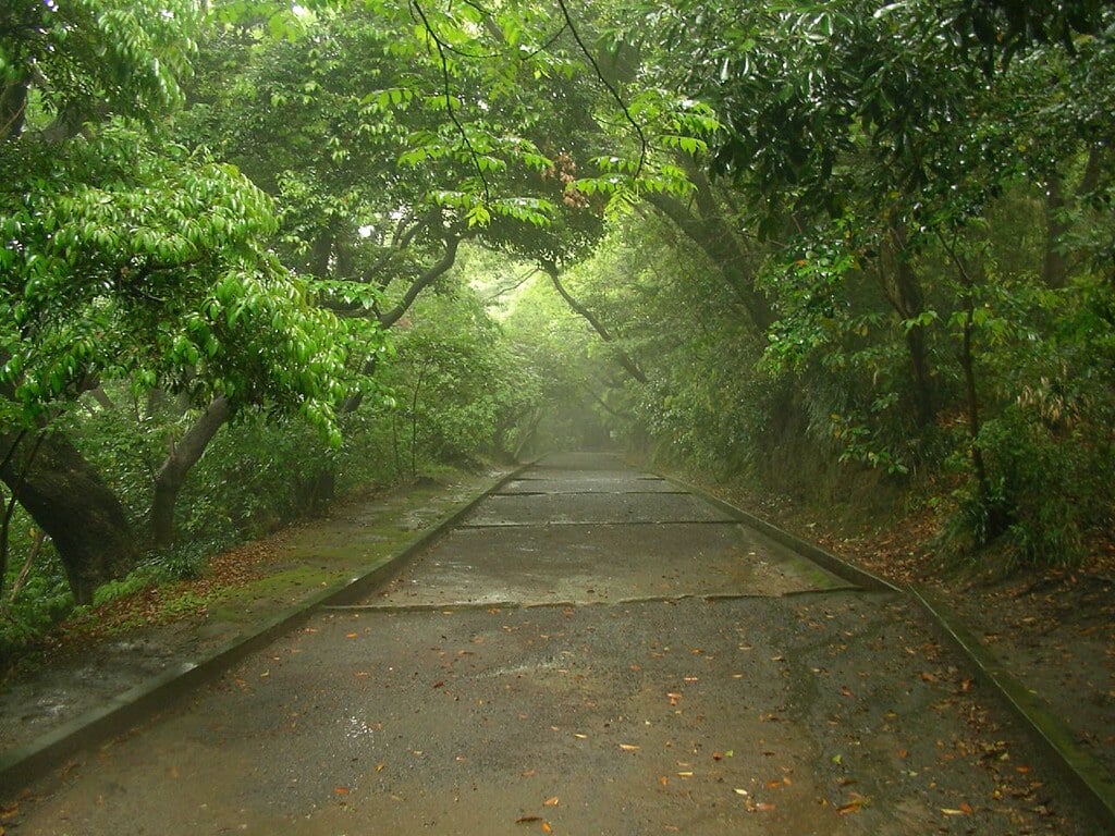 城山公園の写真4