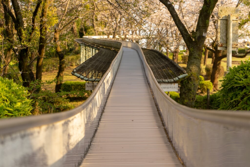城山公園の写真7