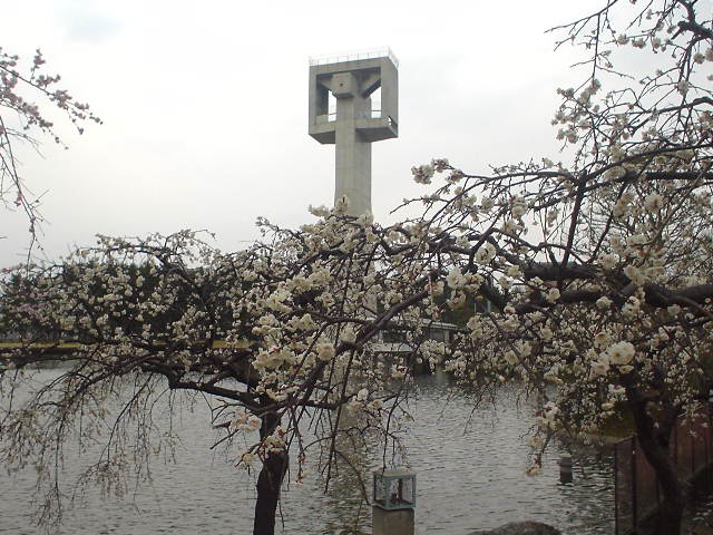 松見公園の写真2