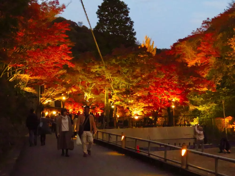 岩屋堂公園の写真1