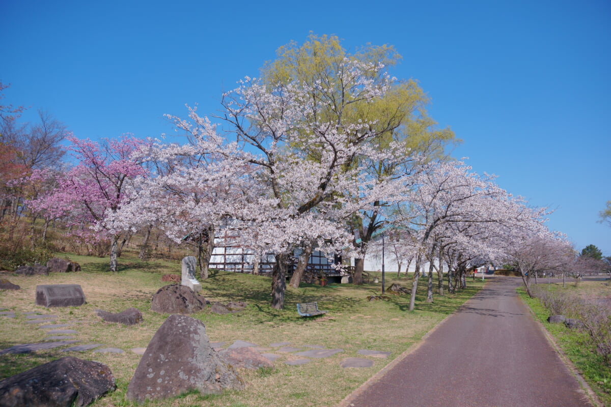 道の駅　てんのう　天王グリーンランドの写真3