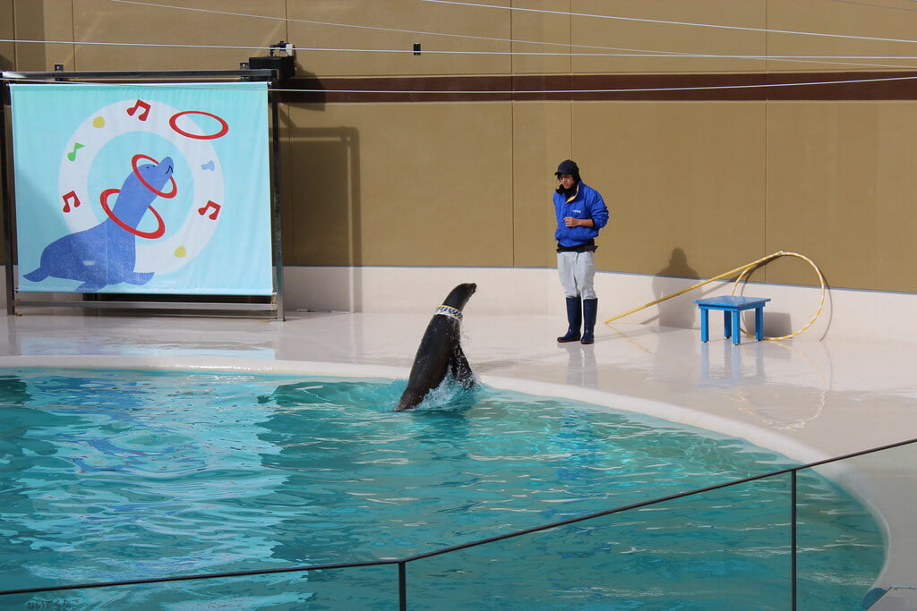 宮島水族館の写真10