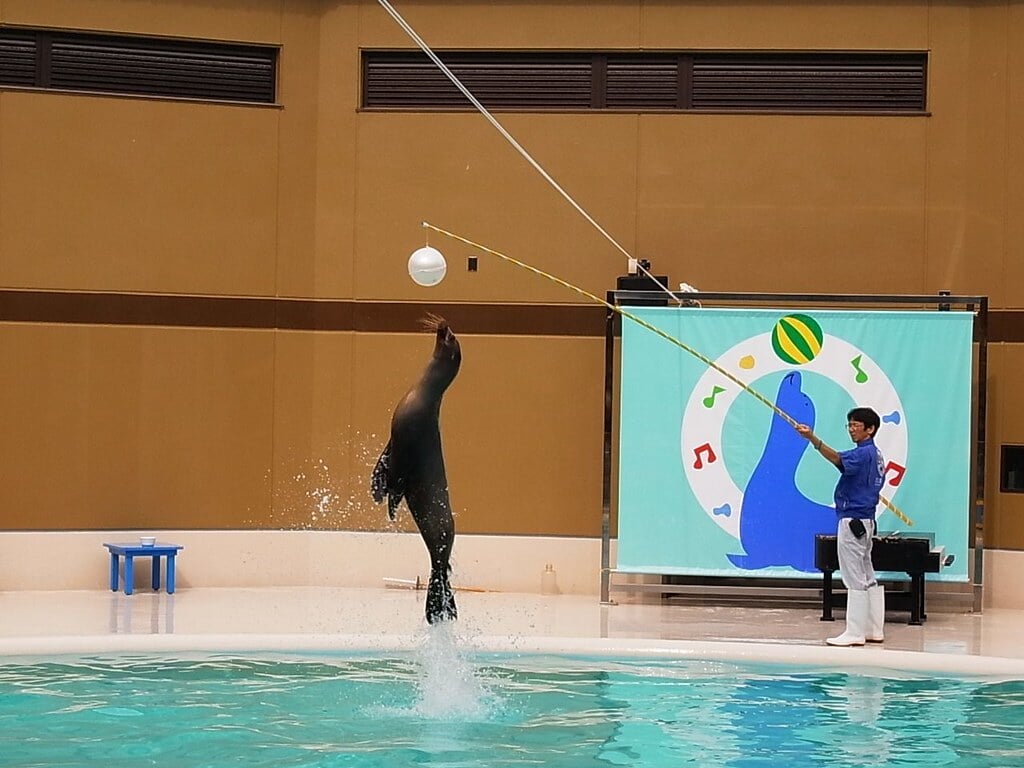 宮島水族館の写真13