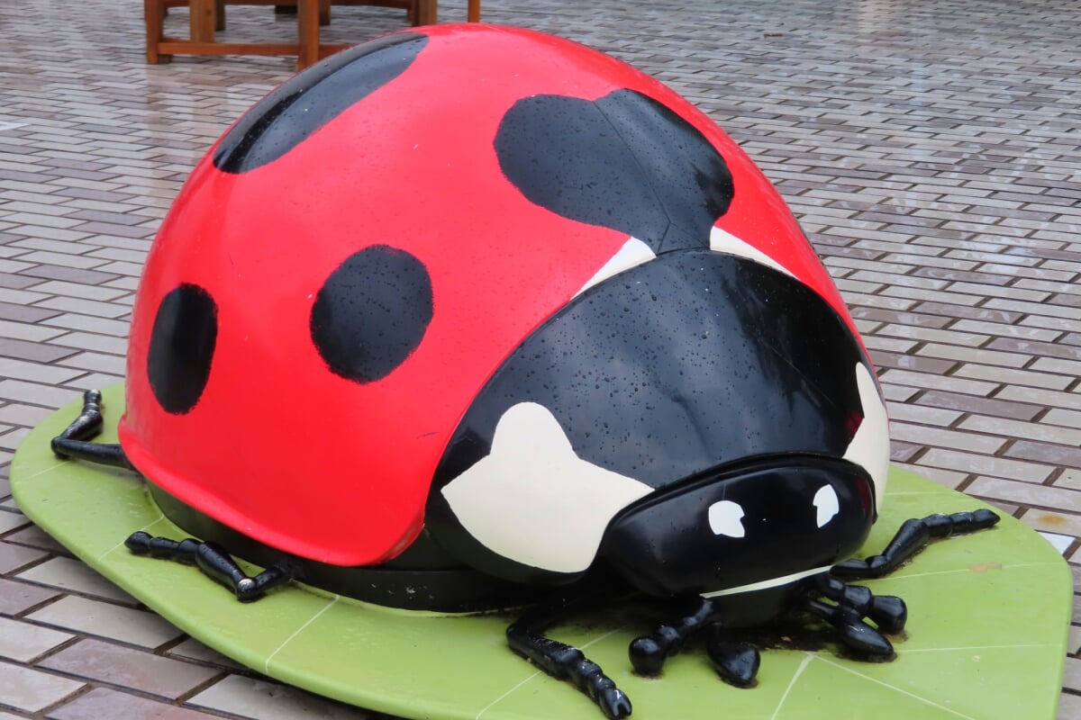 広島市森林公園 こんちゅう館の写真3