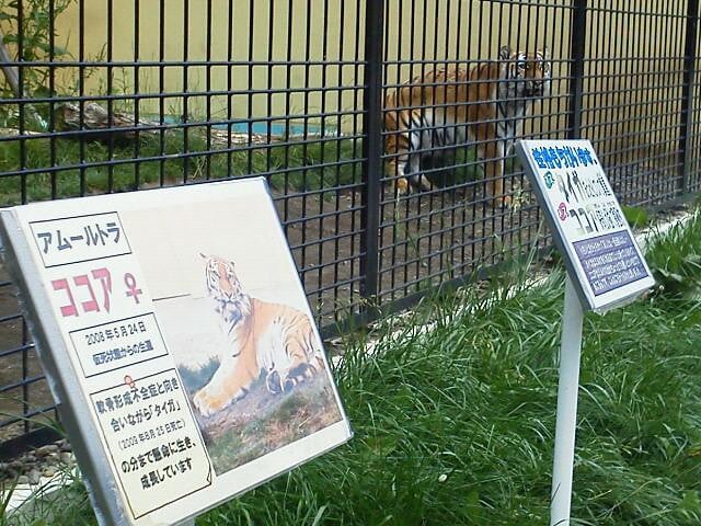 釧路市動物園の写真1