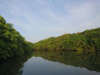 高尾山自然公園