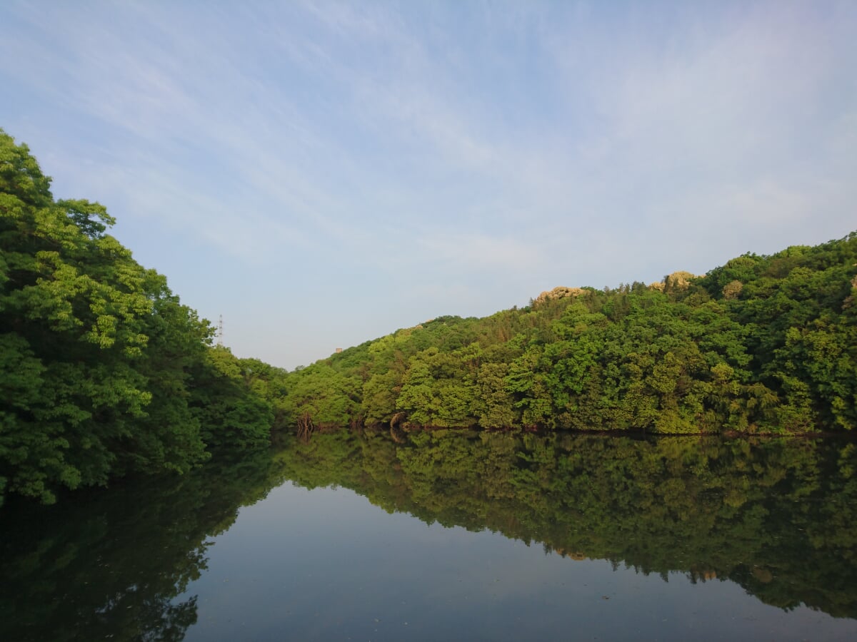 高尾山自然公園の写真1