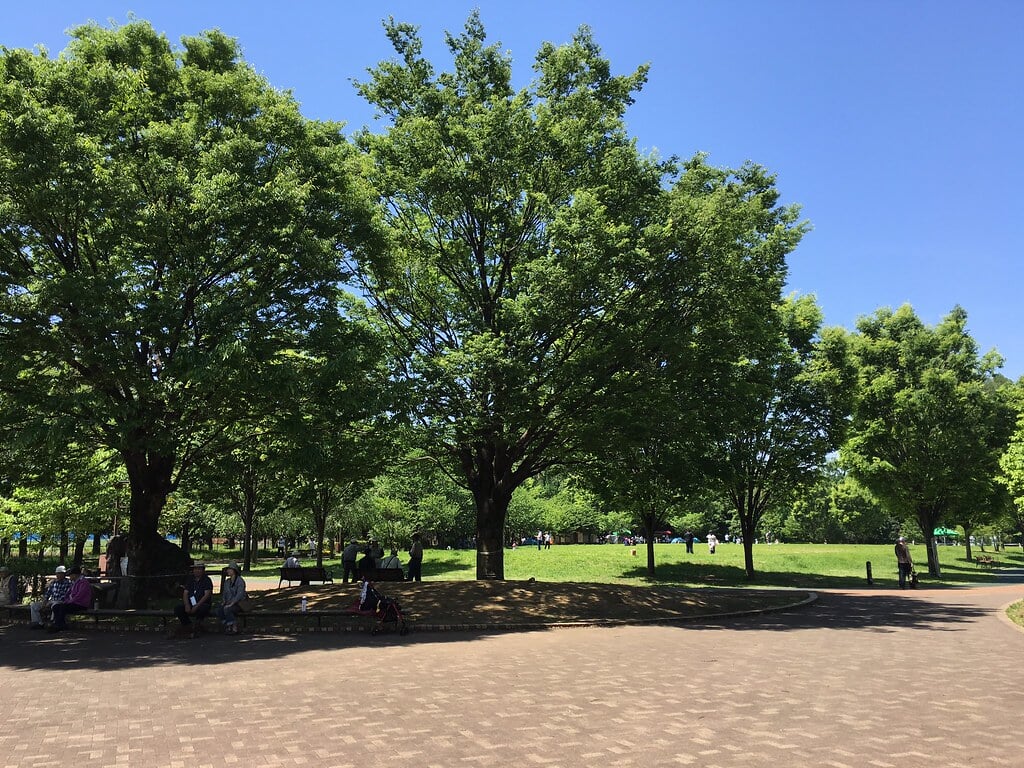 西東京いこいの森公園の写真2