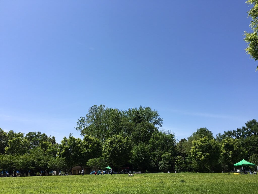 西東京いこいの森公園の写真5