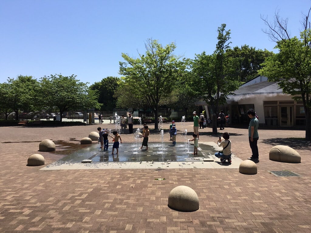 西東京いこいの森公園の写真1