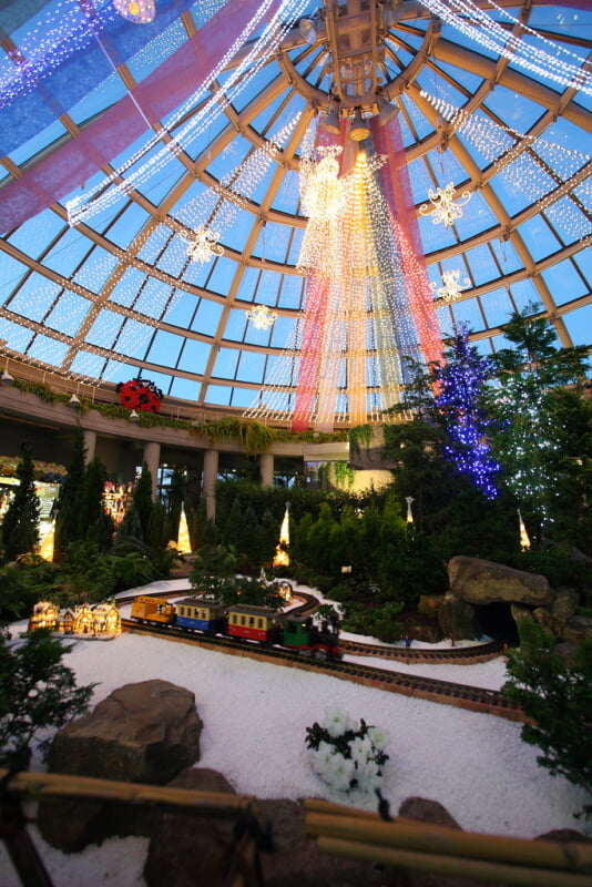 フローランテ宮崎の写真3