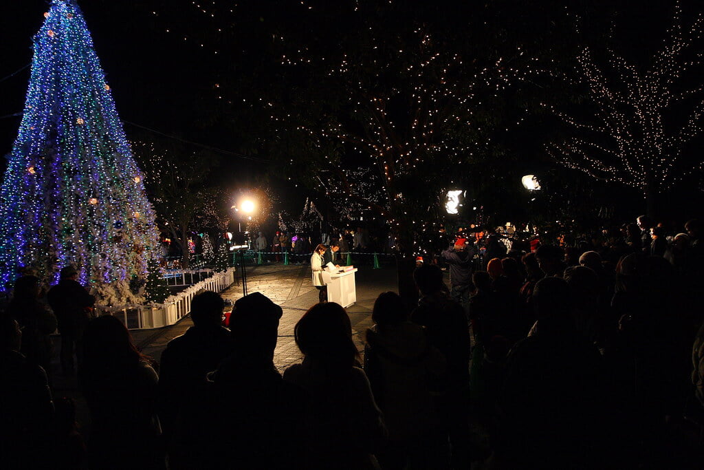 フローランテ宮崎の写真4