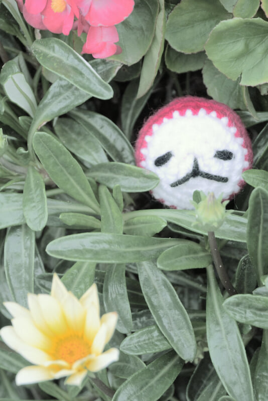 フローランテ宮崎の写真5