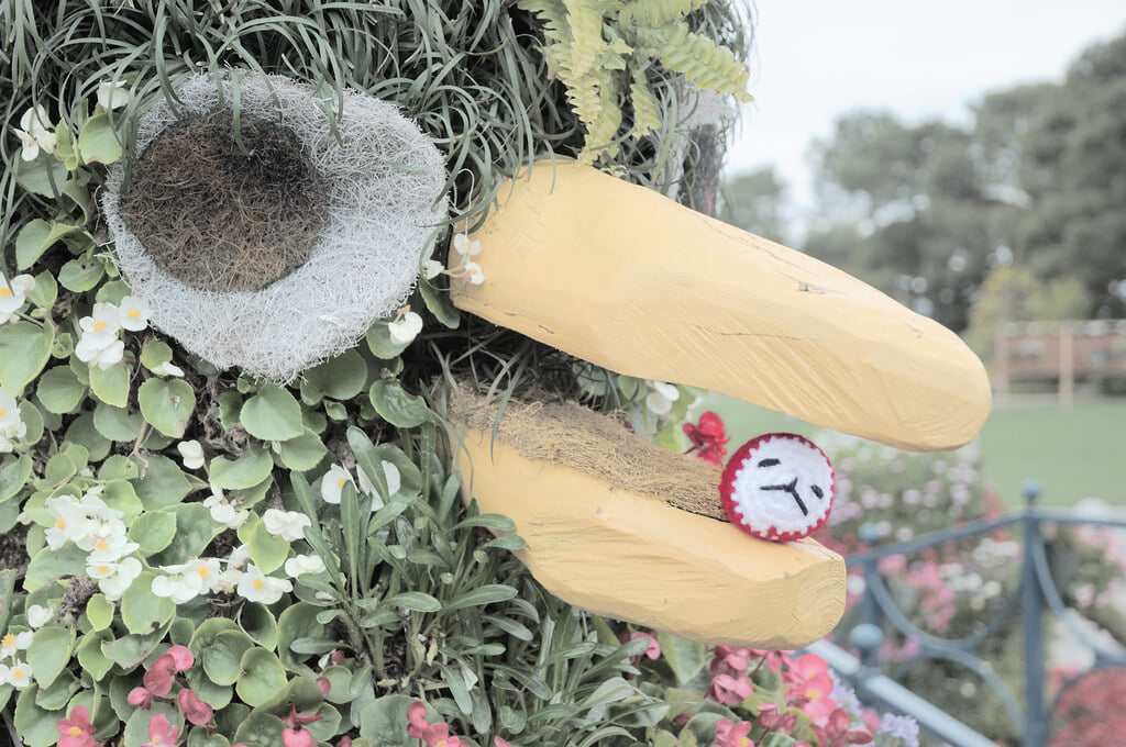 フローランテ宮崎の写真8