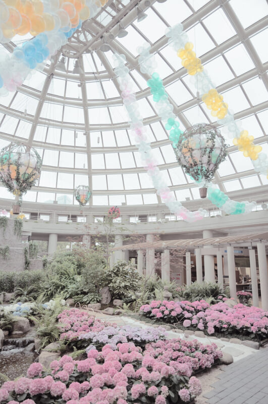 フローランテ宮崎の写真1