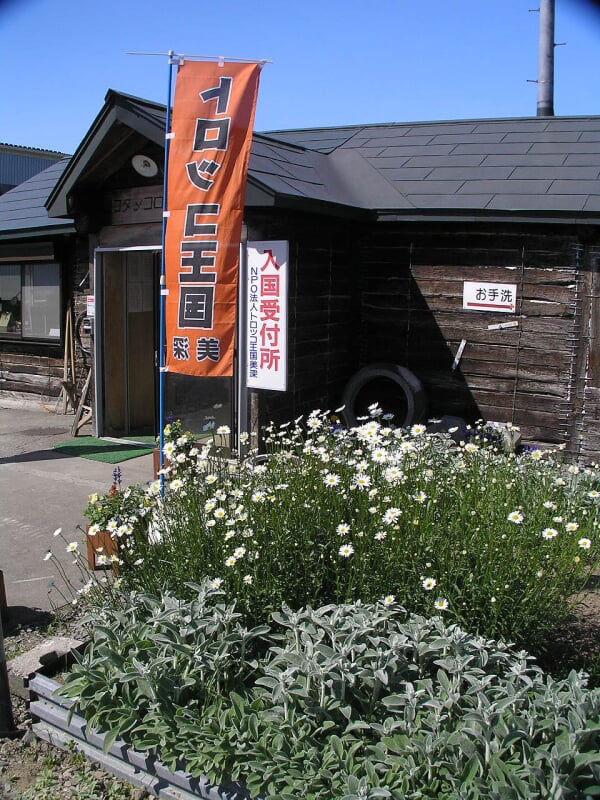 トロッコ王国美深の写真5