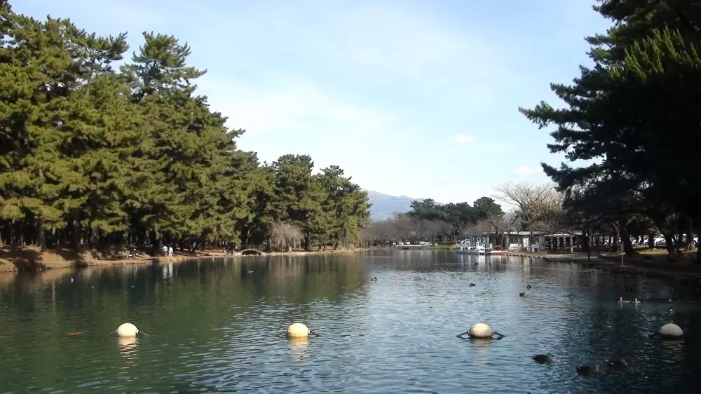 敷島公園の写真1