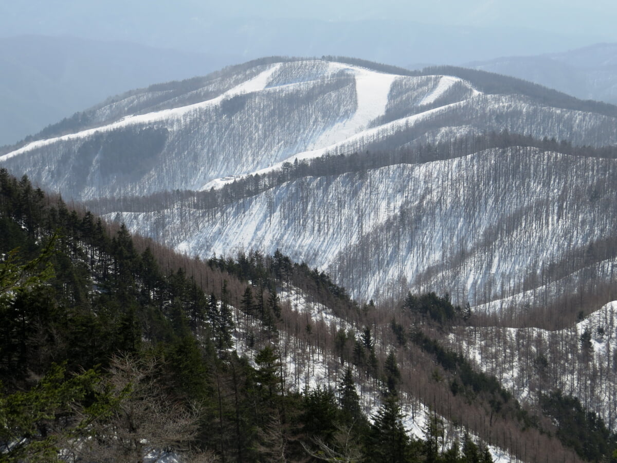 やぶはら高原スキー場の写真1