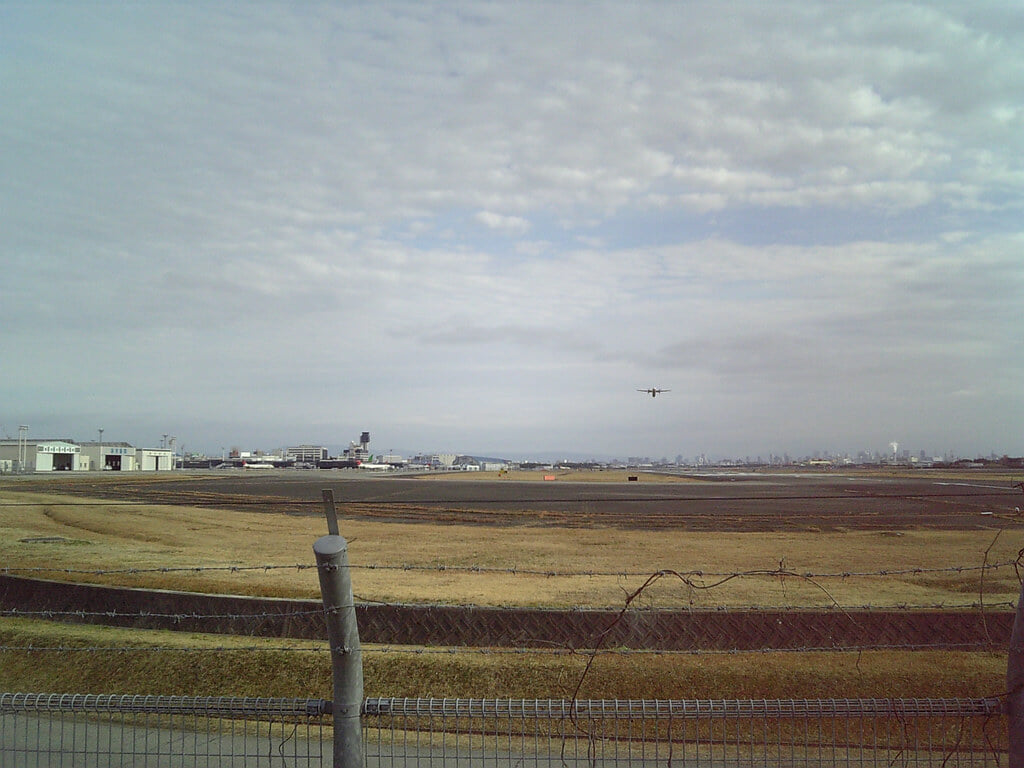 下河原緑地の写真2