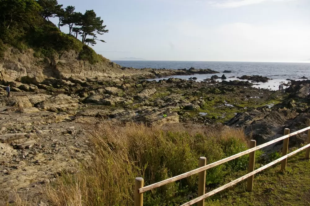 荒崎公園の写真1