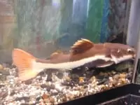 霞ヶ浦総合公園