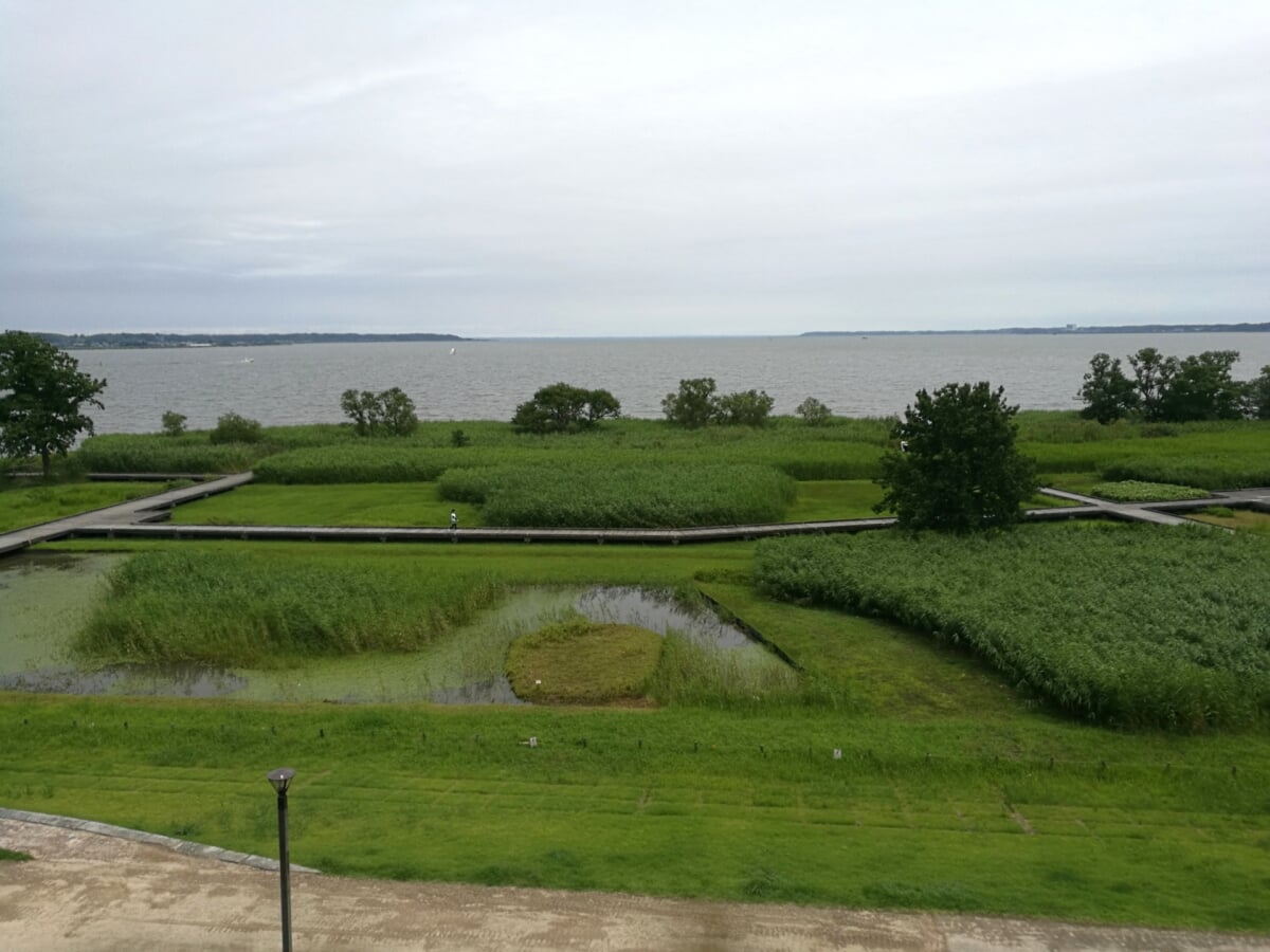 霞ヶ浦総合公園の写真3