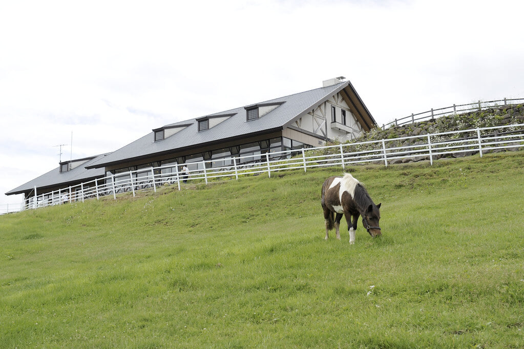 山梨県立まきば公園の写真9