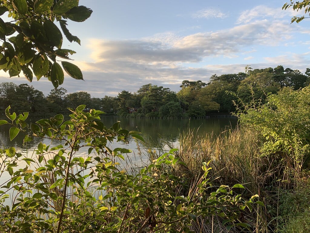 洗足池公園の写真2