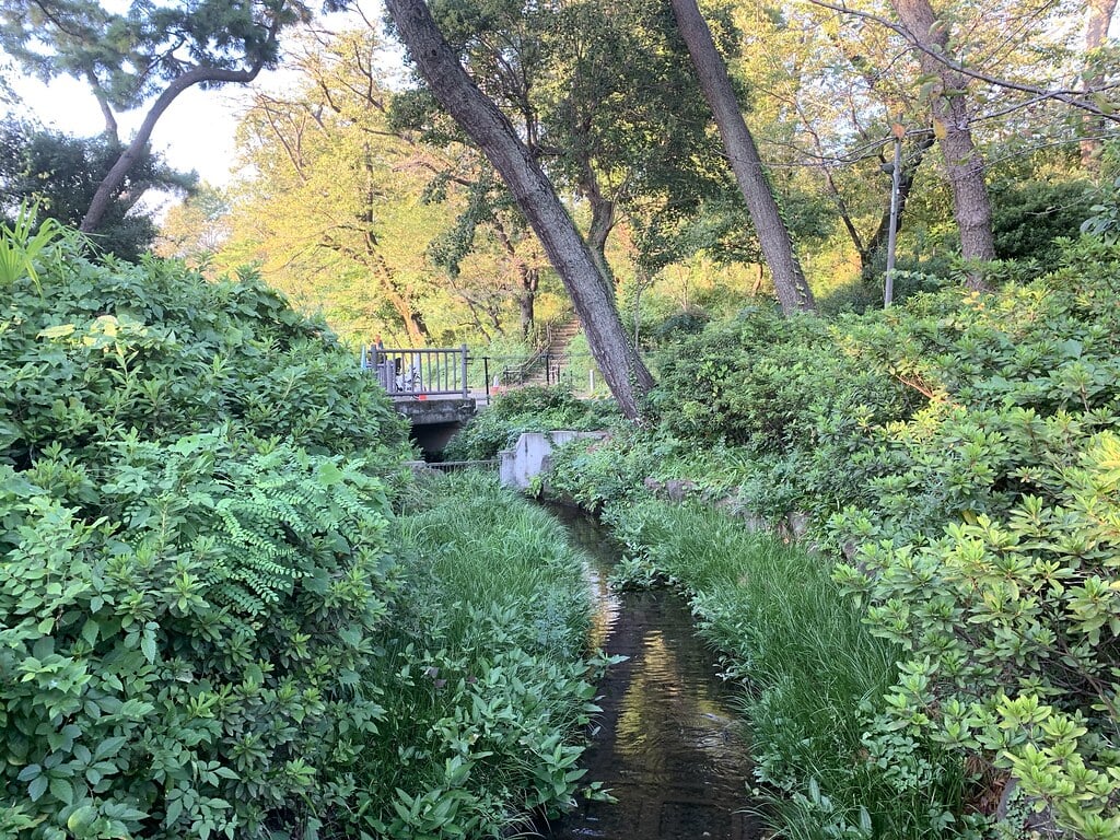 洗足池公園の写真3