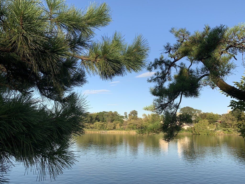 洗足池公園の写真4