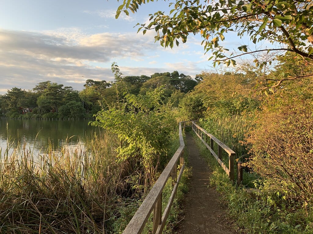 洗足池公園の写真5