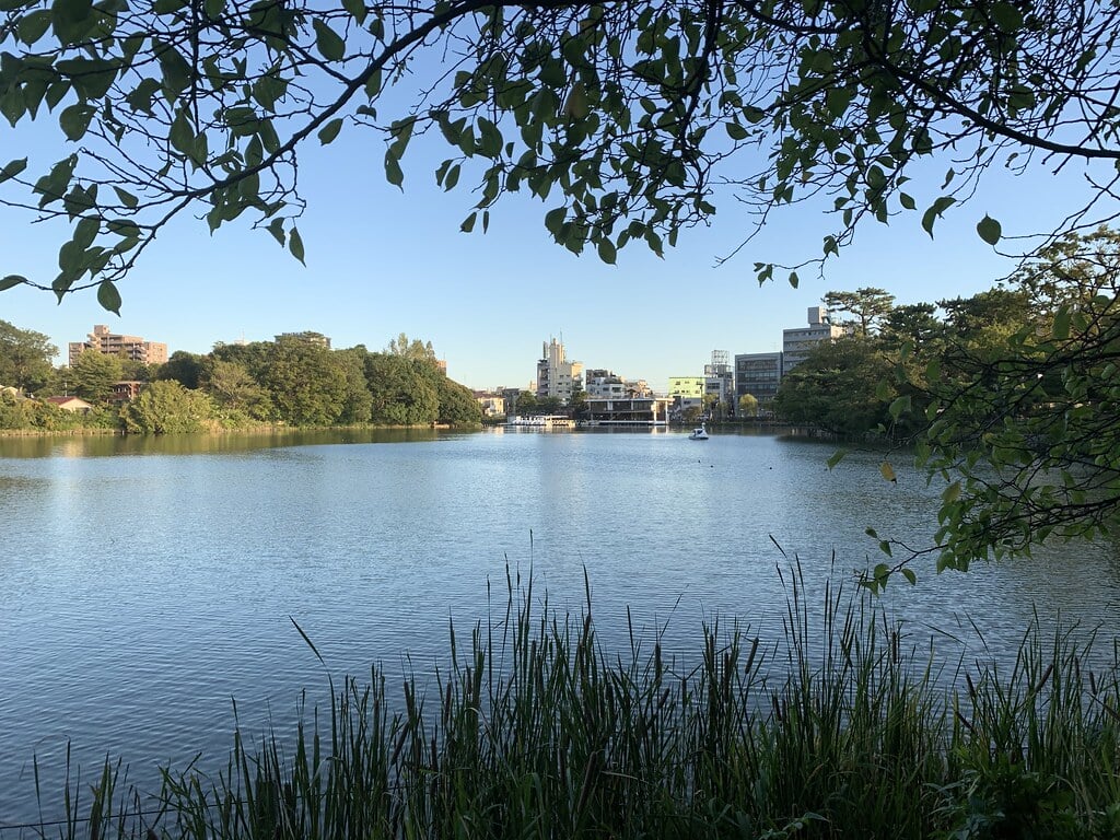 洗足池公園の写真6