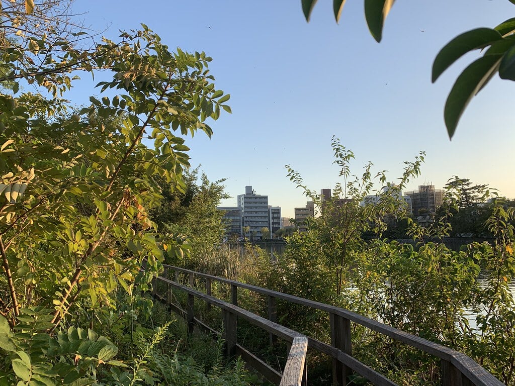 洗足池公園の写真7