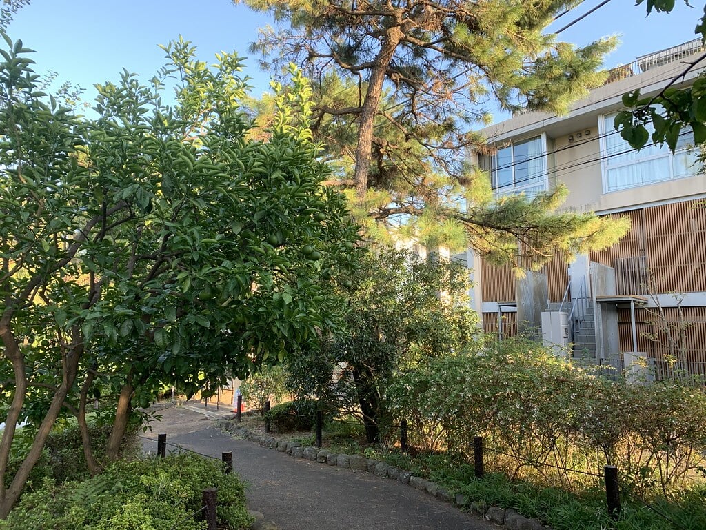 洗足池公園の写真9