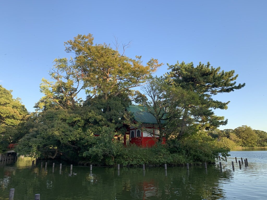 洗足池公園の写真10