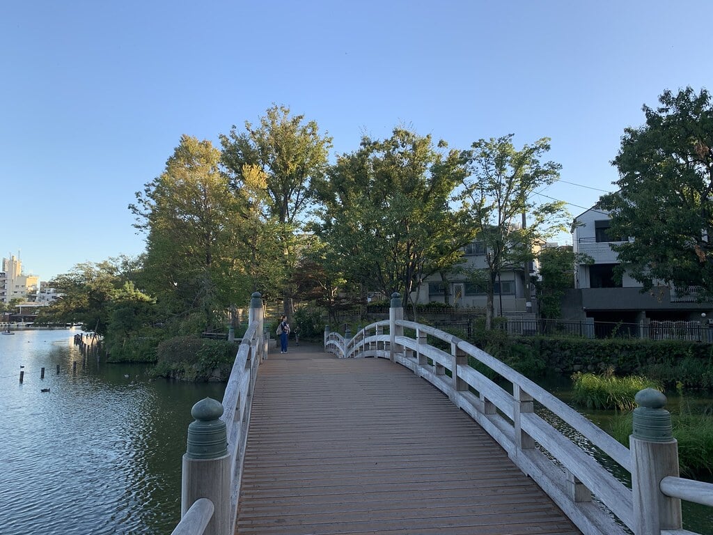 洗足池公園の写真11