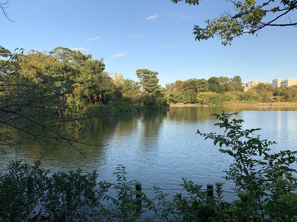 洗足池公園の写真12