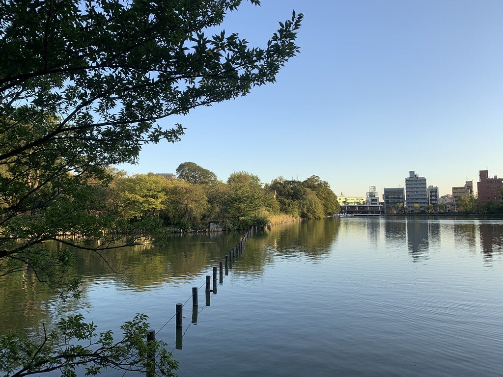 洗足池公園の写真13