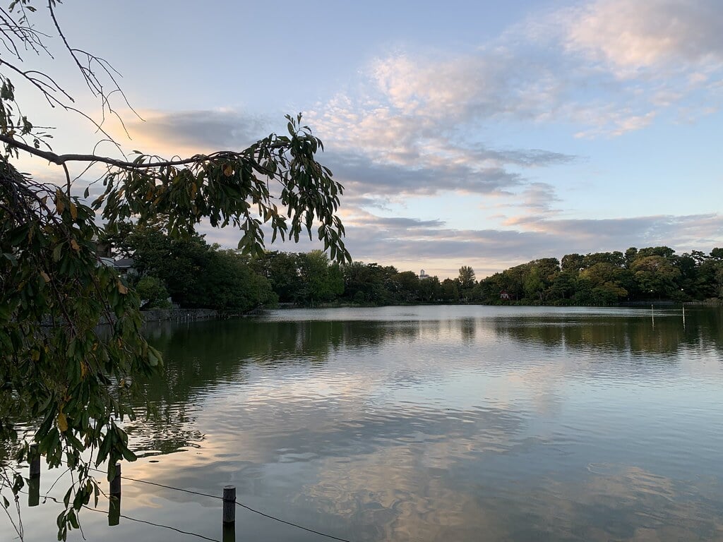 洗足池公園の写真14